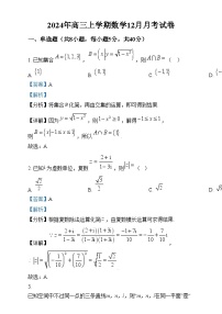 湖南省岳阳市临湘市2024-2025学年高三上学期12月月考数学试卷（Word版附解析）