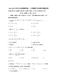 2024-2025学年山东省淄博市高一上册期中考试数学检测试卷