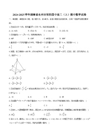 2024-2025学年湖南省永州市祁阳四中高二（上）期中数学试卷（含答案）