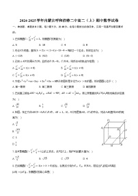 2024-2025学年内蒙古呼和浩特二中高二（上）期中数学试卷（含答案）