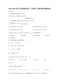 2024-2025学年江苏省盐城市高一上学期11月期中数学检测试卷（含解析）