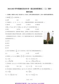 2024～2025学年福建省龙岩市非一级达标校联盟高二(上)期中数学试卷(含答案)