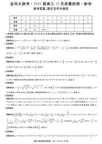 2025届金科大联考高三上学期12月数学试题及答案