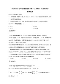 2024-2025学年甘肃省陇南市高一上册11月月考数学检测试题（含解析）