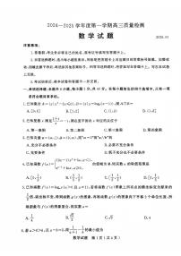 山东济宁市2024-2025学年度第一学期高三质量检测 数学试题及答案