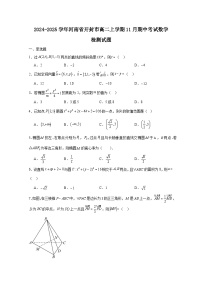 2024-2025学年河南省开封市高二上学期11月期中考试数学检测试题（附解析）