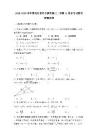 2024-2025学年黑龙江省哈尔滨市高三上学期11月份考试数学检测试卷（附解析）