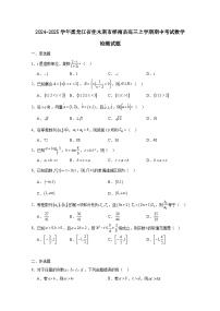 2024-2025学年黑龙江省佳木斯市桦南县高三上学期期中考试数学检测试题（附解析）
