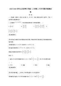 2024-2025学年山东省枣庄市高二上学期11月月考数学检测试卷（附解析）