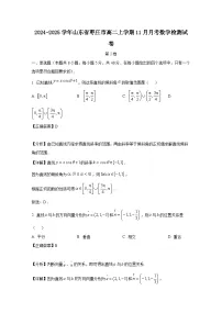 2024-2025学年山东省枣庄市高二上学期11月月考数学检测试卷（附解析）