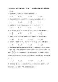 2024-2025学年上海市徐汇区高二上学期期中考试数学检测试卷（附解析）