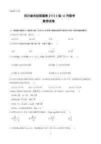 四川省名校联盟高2025届高三上学期12月联考-数学试卷+答案
