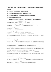 2024-2025学年上海市奉贤区高三上册期中联考数学检测试题