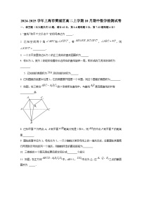 2024-2025学年上海市黄浦区高二上册10月期中数学检测试卷（含解析）