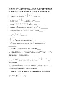 2024-2025学年上海市闵行区高三上册10月月考数学检测试卷