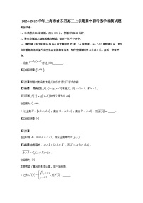 2024-2025学年上海市浦东区高三上册期中联考数学检测试题（附解析）
