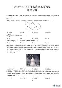 湖北省武汉市江岸区2024-2025学年高三上学期1月期末考试数学试卷（PDF版附答案）