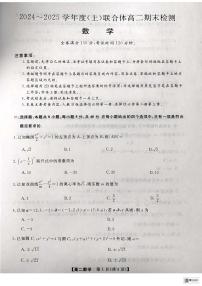 辽宁沈阳重点联合体2024-2025学年高二上学期期末检测数学试卷（含答案）