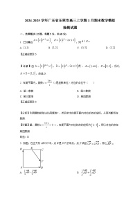 2024-2025学年广东省东莞市高三上册1月期末数学模拟检测试题（附解析）