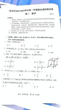 广东省深圳市宝安区2024-2025学年高二上学期期末调研测数学试卷