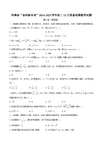 河南省“金科新未来”2024-2025学年高二12月质量检测数学试题（含解析）