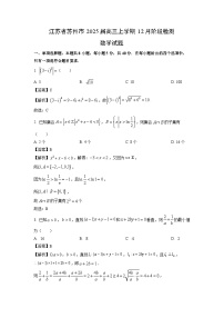 江苏省苏州市2025届高三上学期12月阶段检测数学试卷（解析版）