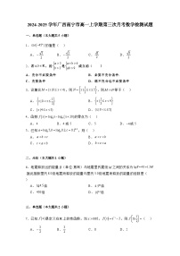 2024-2025学年广西南宁市高一上学期第三次月考数学检测试题（附解析）