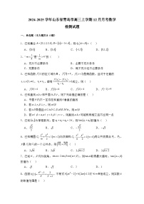 2024-2025学年山东省青岛市高三上册12月月考数学检测试题（附解析）