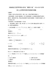 2024~2025学年河南省驻马店市环际大联考“逐梦计划”高二上学期阶段性考试月考数学试卷（解析版）
