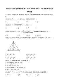 湖北省“新高考联考协作体”2024-2025学年高二上学期期末考试数学试题（含解析）