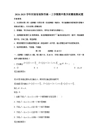 2024-2025学年河南省南阳市高一上学期期中数学质量检测试题（含解析）