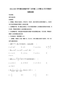 2024-2025学年湖北省随州市广水市高三上学期10月月考数学检测试题