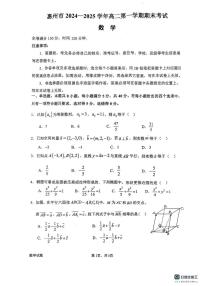 广东省惠州市2024-2025学年高二上学期期末考试数学试题