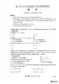 2025届广西南宁市普通高中毕业班摸底测试数学+答案