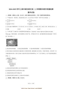 2024～2025学年上海市浦东新区高二上期末教学月考数学试卷(含答案)