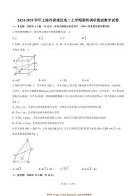 2024～2025学年上海市黄浦区高二上期终调研测试数学试卷(含答案)