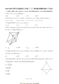 2024～2025学年江苏省徐州三中高二上期末数学模拟试卷(1月份)(含答案)