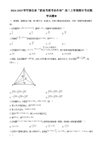 湖北省“新高考联考协作体”2024-2025学年高二上学期期末考试数学试题（Word版附答案）