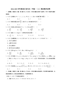 黑龙江省大庆一中2024-2025学年高一上学期期末 数学试卷（含解析）