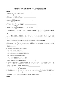 上海中学2024-2025学年高一上学期期末 数学试卷（含解析）