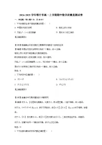 2024-2025学年新疆喀什市高一上册期中数学质量监测试卷（附解析）