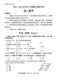 河南省三门峡市2024-2025年高二上学期期末调研考试数学试题