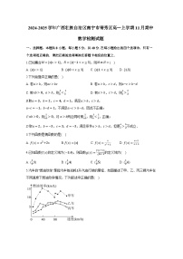 2024-2025学年广西壮族自治区南宁市青秀区高一上册11月期中数学检测试题