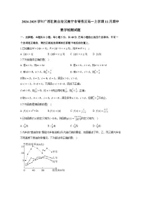 2024-2025学年广西壮族自治区南宁市青秀区高一上册11月期中数学检测试题