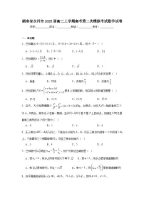 湖南省永州市2025届高三上学期高考第二次模拟考试数学试卷
