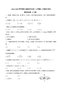 2024-2025学年浙江省杭州市高二上学期1月期末考试（乙卷）数学试卷（含答案）
