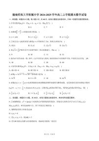 湖南师范大学附属中学2024-2025学年高二上学期期末数学试卷（含答案）