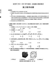 安徽省宣城市2024-2025学年高三上学期期末调研测试数学试卷