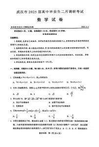 武汉市2025届高中毕业生二月调研考试数学试卷