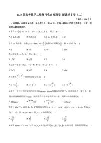 2025届高考数学二轮复习收官检测卷 新课标Ⅰ卷（二）（含解析）